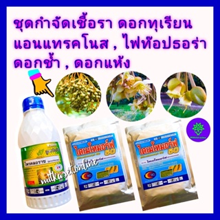 ชุด กำจัดเชื้อรา ดอกทุเรียน ยาทุเรียน โพรคลอราซ ขนาด 1ลิตร + ไดเมโทมอร์ฟ ขนาด100 g /2 ซอง แอนแทรคโนส ไฟท๊อปธอร่า ดอกช้ำ