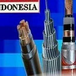 NYY 3x6mm สายยี่ห้อโลหะ