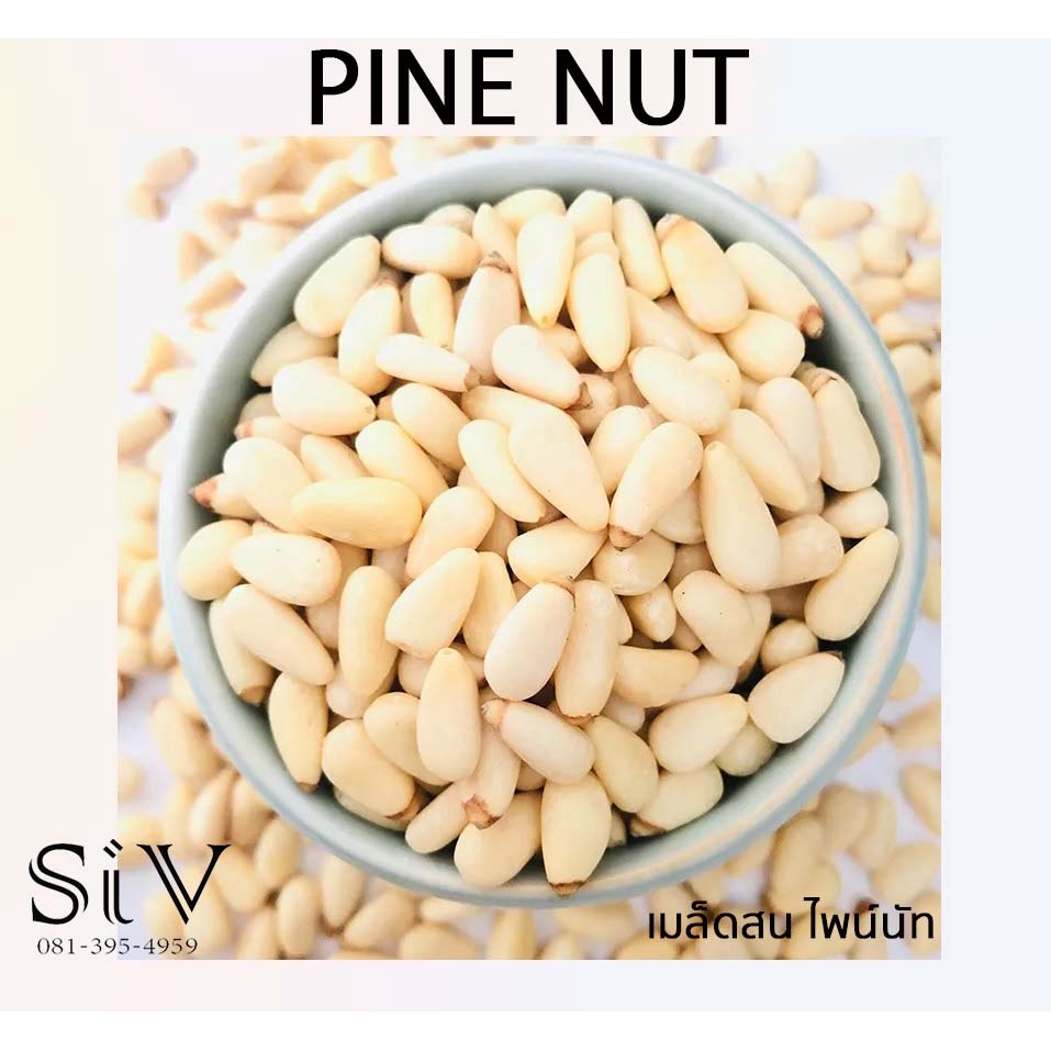 -SiV Mall- เมล็ดสน PINE NUT ไพน์นัท เมล็ดสะอาด สายพันธุ์รัสเซีย ถั่วเม็ดสน เมล็ดสนนำเข้า คัดเมล็ดอย่างดี บรรจุอย่างดี