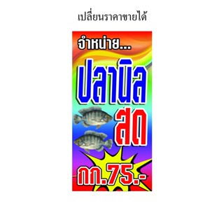 ป้ายไวนิล จำหน่ายปลานิล มีหลายขนาด เปลี่ยนราคาขายได้ ตอกตาไก่ 4 มุม หนา 360 แกรม ทนทานต่อแดด ลมฝน  สีสดเห็นชัดเจน