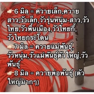 เชือกสนตะพาย วัว ควาย (มีให้เลือก2แบบ แบบเชือกเปล่า กับ พร้อมหวินกระดูก )