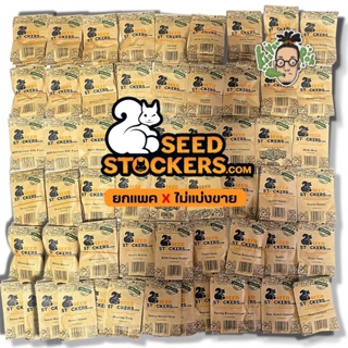 Update 21-6-23🔥พร้อมส่ง🔥เมล็ดค่าย SeedStocker ⭐️Auto/Photo⭐️ยกแพค/แกะแบ่งขาย🌱พันธ์ุนอกแท้100%🌱มีปลายทาง⭐️