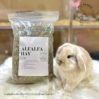 หญ้าอัลฟาฟ่าสับ Alfalfa (Lucerne Chaff) ขนาด 800G