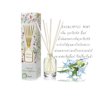 REED DIFFUSER 50ml กล่อง 2019 กลิ่น EUCALYPTUS MINT