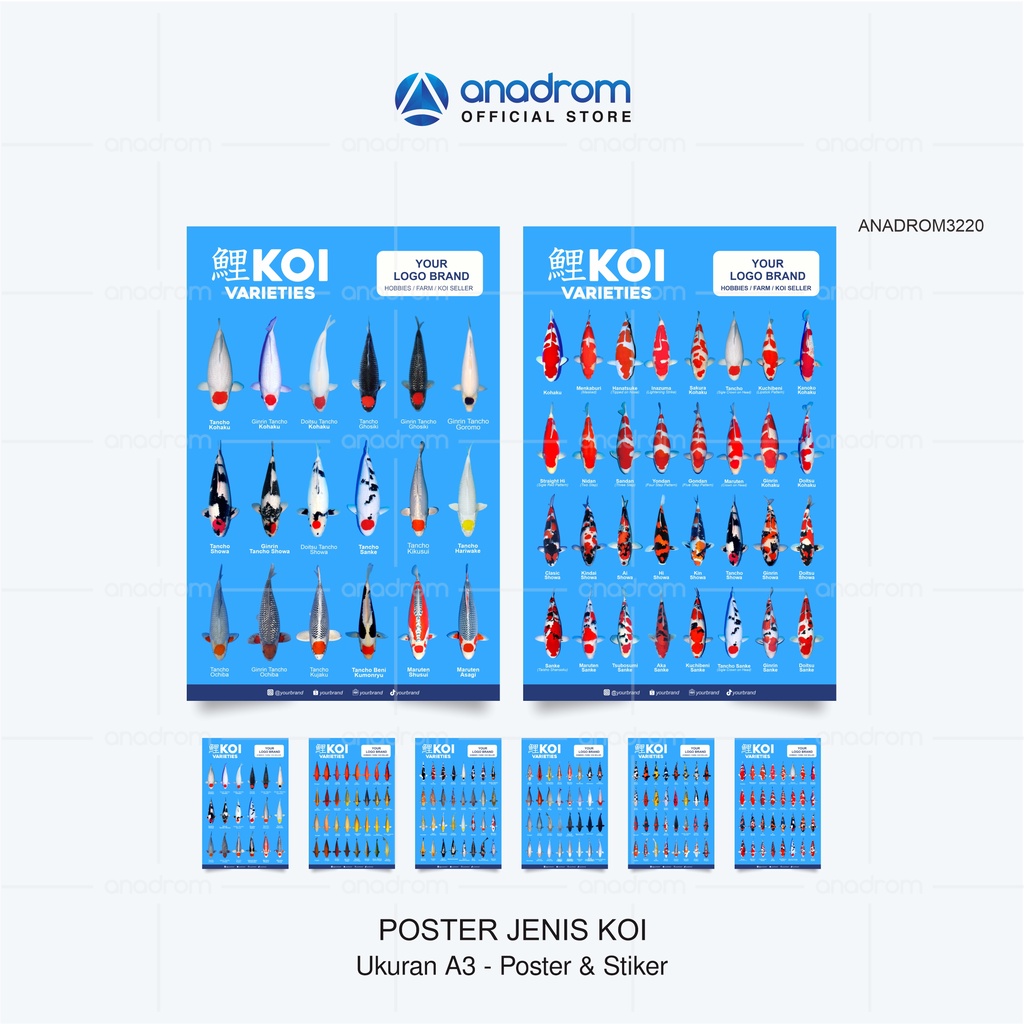 โปสเตอร์และสติ๊กเกอร์ Variant / Type Koi Fish I โปสเตอร์ Koi Variety ขนาด A3 I Anadrom 3220