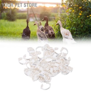Your Pet Store แหวนระบุตัวเลข สําหรับสัตว์เลี้ยง ไก่ เป็ด ชีส สีขาว 50 ชิ้น
