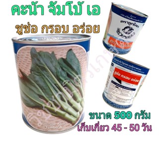 คะน้า จัมโบ้ เอ คะน้ายอด (Chinese Kale) ตราลูกโลก กระป๋องขนาด 500 กรัม ผัก