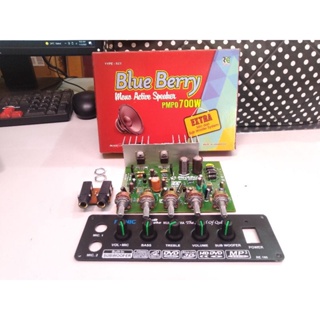 700w Blue Berry Mono ไมโครโฟนลําโพงคาราโอเกะ