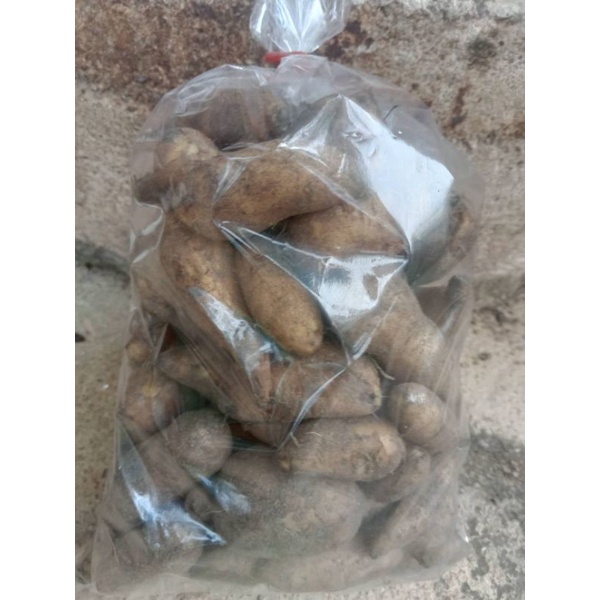 มันขี้หนู หัวมันขี้หนูสด 1 KG