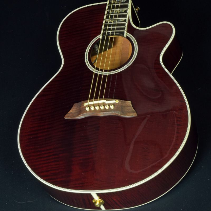 Takamine DMP181AC WR มือสองสภาพB+