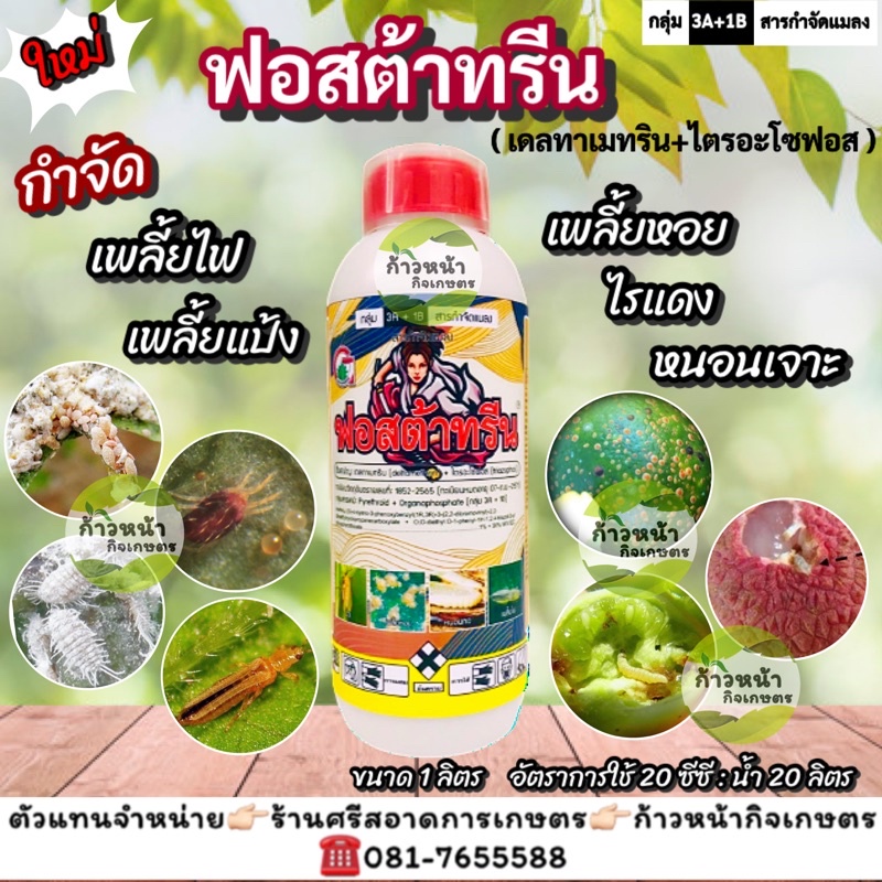 ฟอสต้าทรีน(ไตรอะโซฟอส+เดลทาเมทริน)  ป้องกันและกำจัดแมลงทั้งเพลี้ย ทั้งหนอน เพลี้ยหอย เพลี้ยแป้ง เพลี้ยไฟ หนอนเจาะ ไรแดง