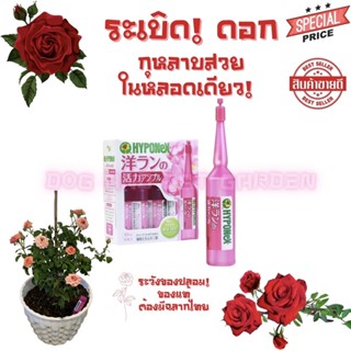 ปุ๋ยปัก กุหลาบ ระเบิดดอก! ดอกใหญ่ ดอกดก  hyponex ampoule