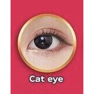 LovelyLens Cat Eye Eff.17 Black กลาง