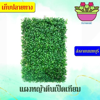 (1ผืน,40x60ซม.) papamami แผงหญ้าเทียม หญ้าตีนเป็ดเทียม หญ้ามิลาน หญ้าติดรั้วระแนง ไม่บังลม ลมผ่านได้ แผงหญ้าปลอม สวนแนวต