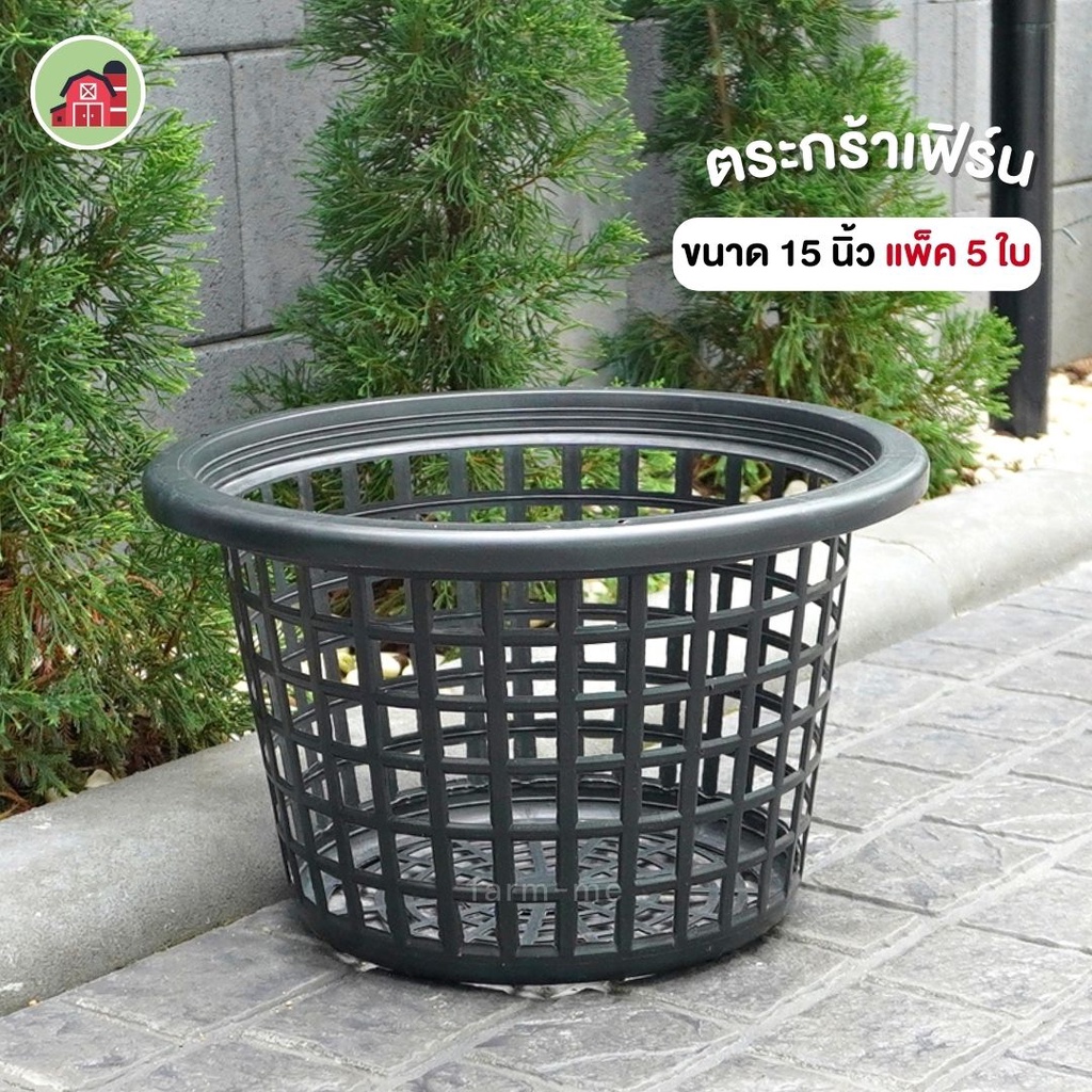 ตะกร้าปลูกเฟิร์น 15 นิ้ว 5ใบ กระถางปลูกเฟิร์น