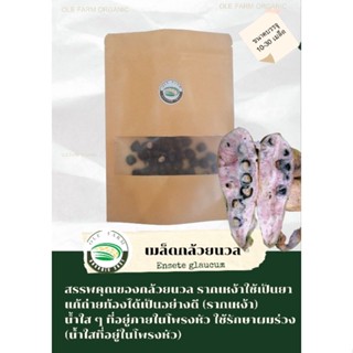 เมล็ดพันธุ์กล้วยนวลบรรจุ 10/20 /30