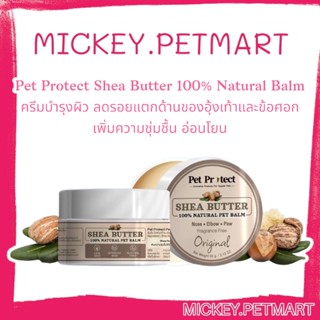 Pet Protect 60g. Shea Butter 100% Natural Balm ครีมบำรุงผิว ลดรอยแตกด้านของอุ้งเท้าและข้อศอก เพิ่มความชุ่มชื้น อ่อนโยน