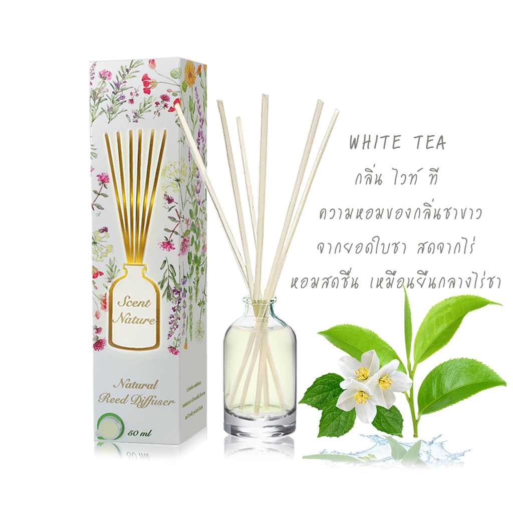 ก้านไม้หอมปรับอากาศ 50 ml WHITE TEA (ชาขาว)