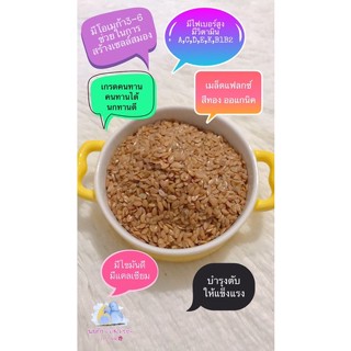 เมล็ดแฟลกซ์สีทองธัญพืชสำหรับนก🐥ทานได้📍เกรดคนทน