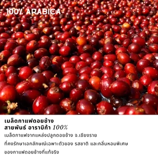 เมล็ดกาแฟดอยช้าง เมล็ดกาแฟสดคั่วบด สูตรพิเศษ เบลนด์อาราบิก้า+โรบัสต้า บรรจุถุงติดวาล์ว 500กรัม