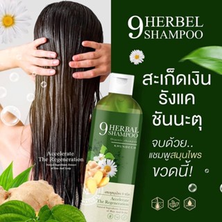 ⭐️ แชมพูขุนเดช Herbal Shampoo KHUNDECH 9 แชมพูสมุนไพร9ชนิด คัน รังแค ขนาด 300 ML.