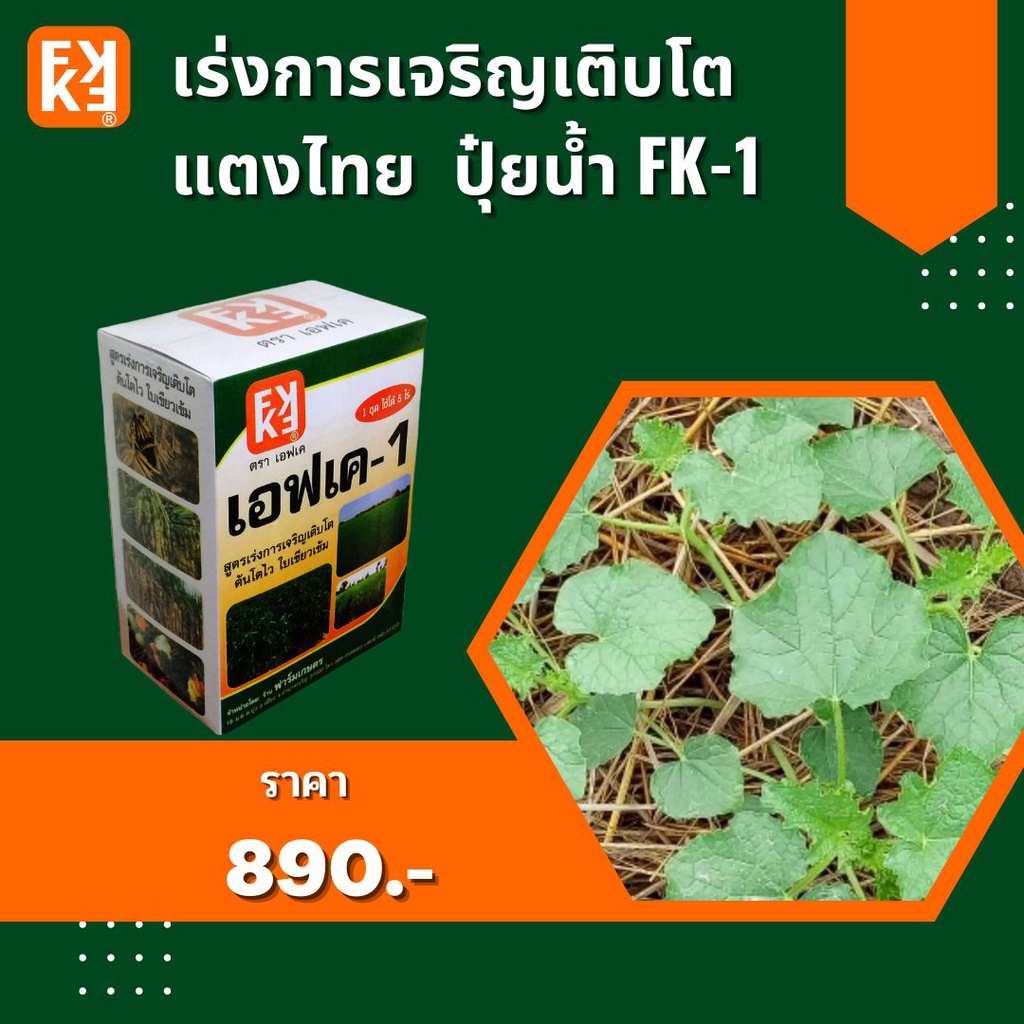 ปุ๋ยน้ำ เร่งการเจริญเติบโต เพิ่มผลผลิต แตงไทย ประสิทธิภาพสูง FK-1 เร่งโต FK-3 ขยายขนาดผล สำหรับพืชออ