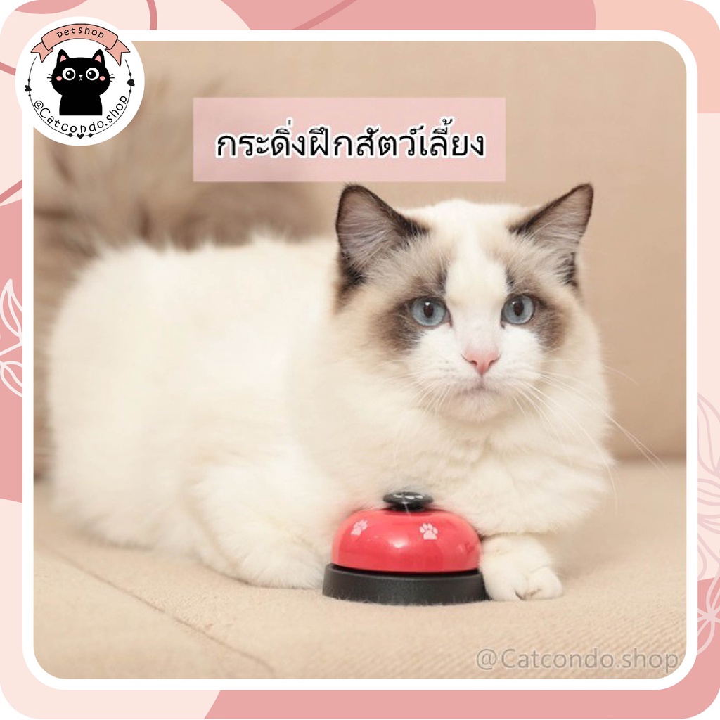 ของเล่นแมว กระดิ่งแมว ที่ฝึกแมว ที่ฝึกสัตว์เลี้ยง กระดิ่งตบ กระดิ่งฝึกสัตว์เลี้ยง