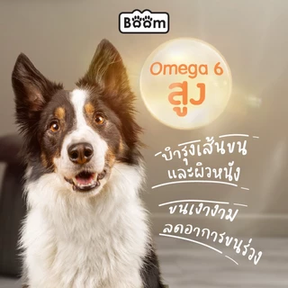 Boom อาหารสุนัข รสตับ เสริมภูมิคุ้มกัน ไม่เค็ม สำหรับสุนัขอายุ 1 ปีขึ้นไป 20 KG.