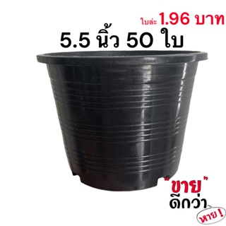 กระถาง 5.5 นิ้ว 50 ใบ (สีดำ)