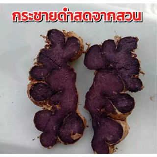 กระชายดำหัวสดส่งตรงจากสวน (250g  500g 1000g)สมุนไพรพื้นบ้าน