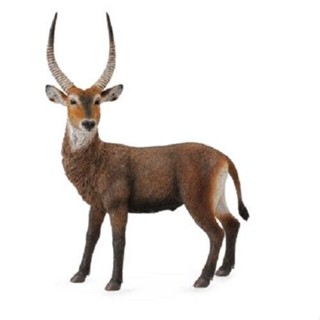 โมเดล Collecta Wildlife - 88562 Waterbuck