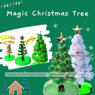 ต้นคริสต์มาสวิทยาศาสตร์ ต้นไม้วิทยาศาสตร์ ของเล่นวิทยาศาสตร์ diy Magic Christmas Tree