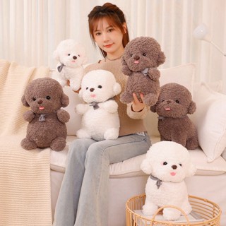 ตุ๊กตาสุนัข Bichon Frise 2 ขนาด ของเล่น ของขวัญ