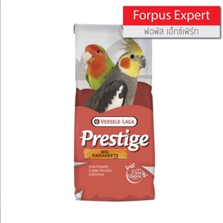 อาหารนกฟอพัส Prestige Forpus Expert Mix อาหารสูตรเฉพาะสำหรับ นกฟอพัส ธัญพืช แบ่งขาย ฟอพัสเอ็กซ์เพิร์ท มิกซ์