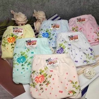 COD 6Pieces Floral Women's Panty Underwear M-L-XL-XXL