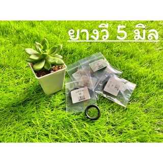 ยางวี5มิล ซีลยางลูกสูบ ซีลV