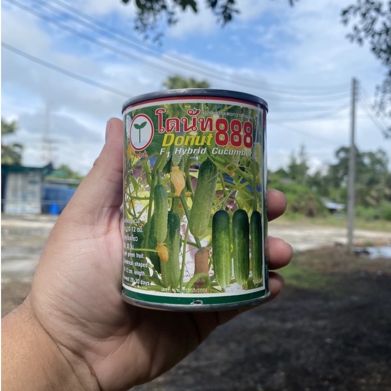 เมล็ดพันธุ์แตงกวา - โดนัท888(100ก.)