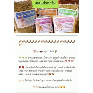 ธัญพืชรวมหนูแฮมเตอร์และสัตว์ฟันแทะ 1กิโลกรัม