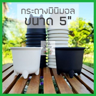 กระถางมินิมอล 5" | กระถาง 5 นิ้ว | กระถางมีขา | กระถางขาสิงห์ | กระถางแคคตัส