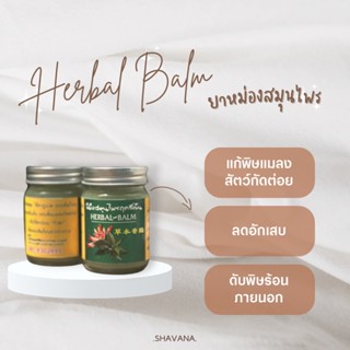 ขี้ผึ้งสมุนไพร(ฤทธิ์เย็น) Herbal Balm 🌿 แก้แมลงกัดต่อย ลดอักเสบ