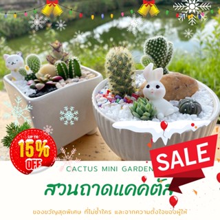 สวนถาด สวนจิ๋ว แคคตัส กระบองเพชร cactus garden น่ารัก ชุดจัดสวนถาดจัดเอง เลือกต้นไม้ได้ ของขวัญ