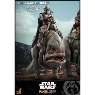 🕊️พร้อมส่ง ฟิกเกอร์ โมเดล ของสะสม Hot Toys TMS046 1/6 Star Wars: The Mandalorian™ - Mandalorian™ &amp; Blurrg