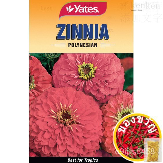 Ypf Zinnia เมล็ดโพลินีเซียน หมวก/แม่และเด็ก/ของเล่น/กางเกง/รองเท้า/เครื่องประดับ/อัญมณี/แอปเปิ้ล/สร้