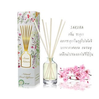 REED DIFFUSER 50ml กล่อง 2019 กลิ่น SAKURA