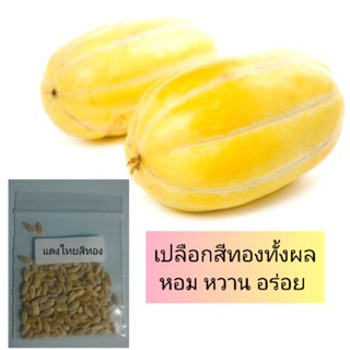 （คุณภาพสูง เมล็ด）เมล็ดผัก เมล็ดพันธุ์แตงไทยทอง100เมล็ด/อินทรีย์ ผัก ปลูก สวนครัว คละ/อินทรีย์ JAL0