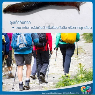 RAINBEAU ถุงเท้ากันทาก ถุงเท้าเดินป่า ผ้ายืดแห้งเร็ว ระบายอากาศดี ถุงเท้าป้องกันทาก ฟรีไซส์ ใส่ได้ทั้งชายหญิง 1 คู่