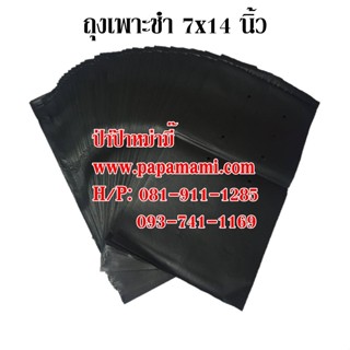 (3-4กก.,90-120ใบ) papamami ถุงเพาะชำ ถุงดำเพาะชำ 7x14 นิ้ว เจาะรู ถุงเพาะชำสีดำ ถุงดำ ถุงเพาะกล้าไม้ ถุงอนุบาลต้นไม้ ถุง