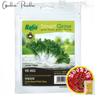 Baba CURLY Dwarf PAK Choy Seeds By Gardens Paradise Straw/ รองเท้า/กระโปรง/seeds/ เครื่องโกนหนวด/ดอกไม้สด/ดอกไม้/หวับ/สว
