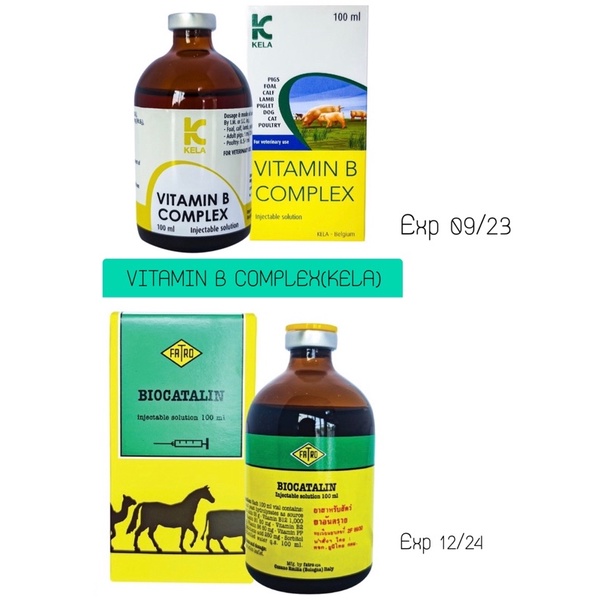 VITAMIN B COMPLEX(KELA) 100 ml. วิตามินบี คอมเพล็ก(คีล่า) 100 มล pukan_pp ThaiPick
