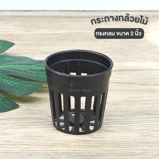 กระถางกล้วยไม้ 2นิ้ว สีดำ กระถางตาข่ายปลูกไฮโดรโปนิกส์ แพ็ค50ใบ